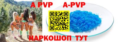 экстази Кингисепп